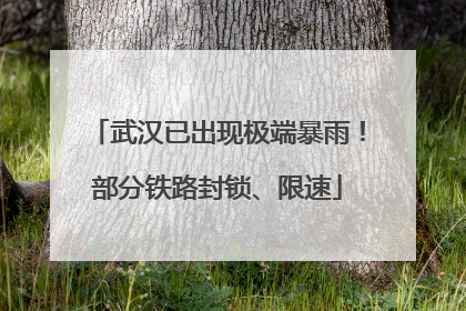 武汉已出现极端暴雨！部分铁路封锁、限速