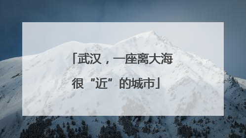 武汉，一座离大海很“近”的城市