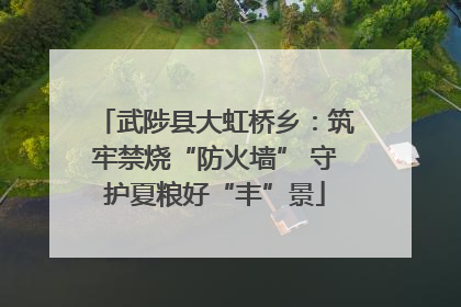 武陟县大虹桥乡：筑牢禁烧“防火墙” 守护夏粮好“丰”景