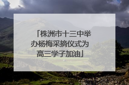 株洲市十三中举办杨梅采摘仪式为高三学子加油