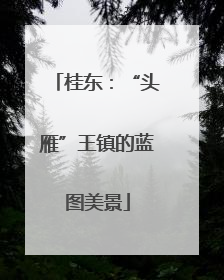 桂东：“头雁”王镇的蓝图美景