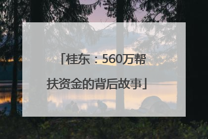 桂东：560万帮扶资金的背后故事