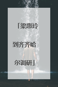 梁惠玲到齐齐哈尔调研