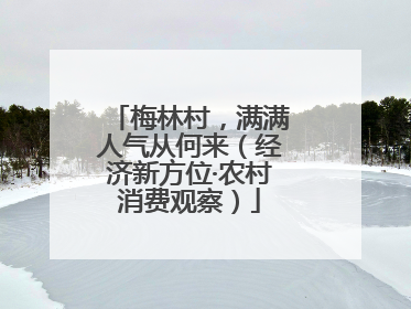 梅林村，满满人气从何来（经济新方位·农村消费观察）