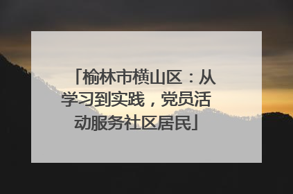 榆林市横山区：从学习到实践，党员活动服务社区居民
