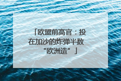 欧盟前高官：投在加沙的炸弹半数“欧洲造”