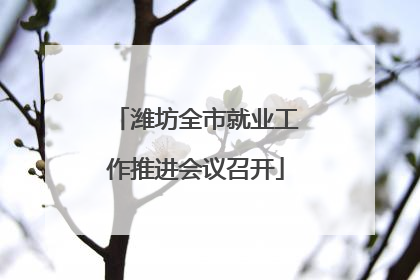 潍坊全市就业工作推进会议召开