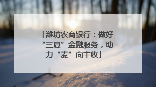 潍坊农商银行：做好“三夏”金融服务，助力“麦”向丰收