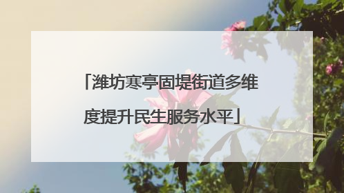 潍坊寒亭固堤街道多维度提升民生服务水平