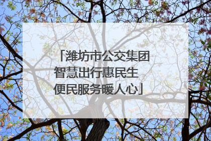 潍坊市公交集团智慧出行惠民生 便民服务暖人心