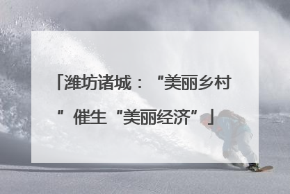 潍坊诸城：“美丽乡村”催生“美丽经济”