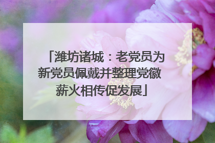 潍坊诸城：老党员为新党员佩戴并整理党徽 薪火相传促发展