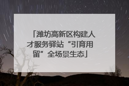 潍坊高新区构建人才服务驿站“引育用留”全场景生态