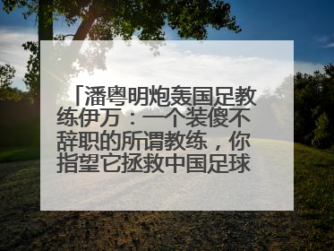 潘粤明炮轰国足教练伊万：一个装傻不辞职的所谓教练，你指望它拯救中国足球！此前曾多次发文评价国足