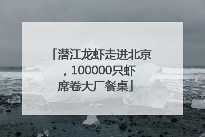 潜江龙虾走进北京，100000只虾席卷大厂餐桌
