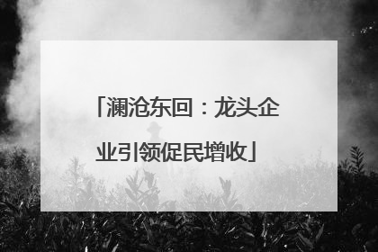 澜沧东回：龙头企业引领促民增收