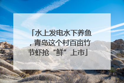 水上发电水下养鱼，青岛这个村百亩竹节虾抢“鲜”上市
