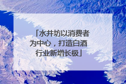 水井坊以消费者为中心，打造白酒行业新增长极