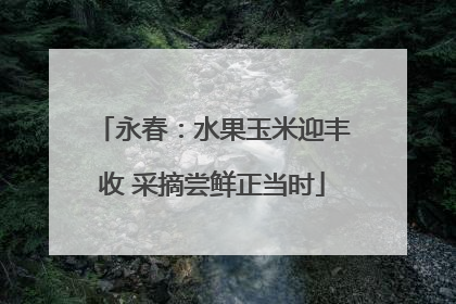 永春：水果玉米迎丰收 采摘尝鲜正当时
