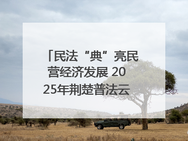 民法“典”亮民营经济发展 2025年荆楚普法云课堂第二期在武汉客厅开讲