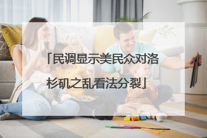 民调显示美民众对洛杉矶之乱看法分裂