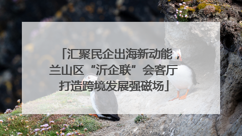 汇聚民企出海新动能，兰山区“沂企联”会客厅打造跨境发展强磁场