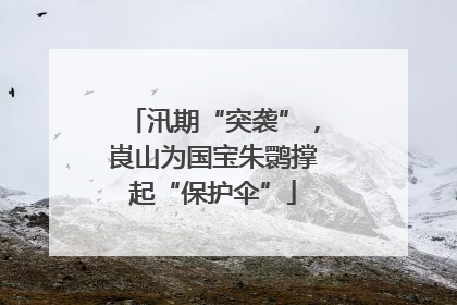 汛期“突袭”，崀山为国宝朱鹮撑起“保护伞”