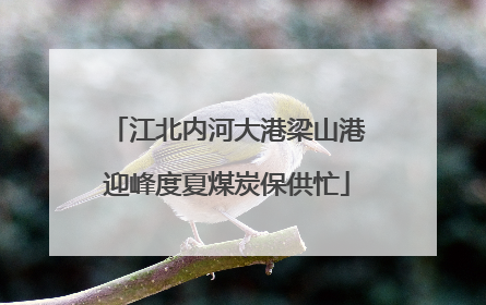 江北内河大港梁山港迎峰度夏煤炭保供忙