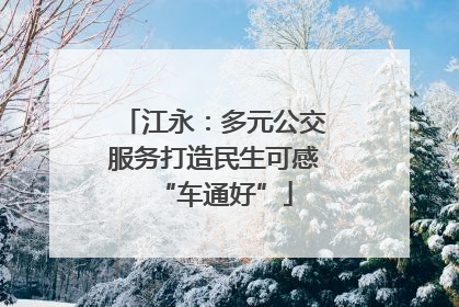 江永：多元公交服务打造民生可感“车通好”