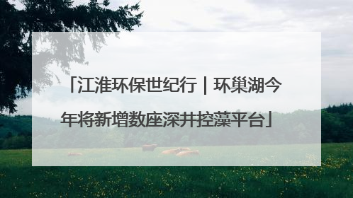 江淮环保世纪行｜环巢湖今年将新增数座深井控藻平台