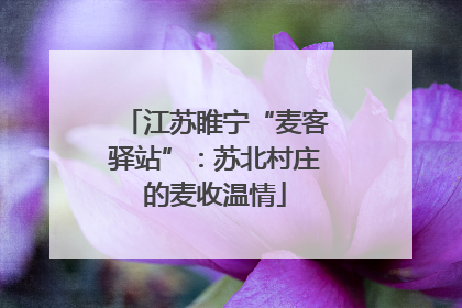 江苏睢宁“麦客驿站”：苏北村庄的麦收温情
