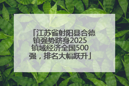 江苏省射阳县合德镇强势跻身2025镇域经济全国500强，排名大幅跃升