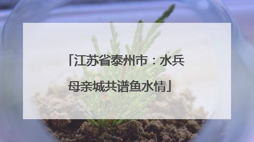 江苏省泰州市：水兵母亲城共谱鱼水情