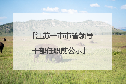 江苏一市市管领导干部任职前公示
