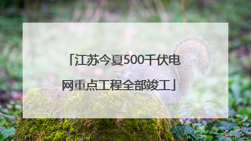 江苏今夏500千伏电网重点工程全部竣工