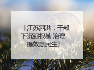 江苏泗洪：干部下沉强根基 治理提效惠民生
