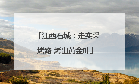 江西石城：走实采烤路 烤出黄金叶
