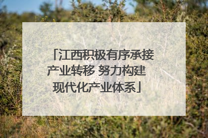 江西积极有序承接产业转移 努力构建现代化产业体系