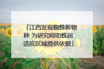 江西发现蜘蛛新物种 为研究呵叻蛛属适应区域提供依据