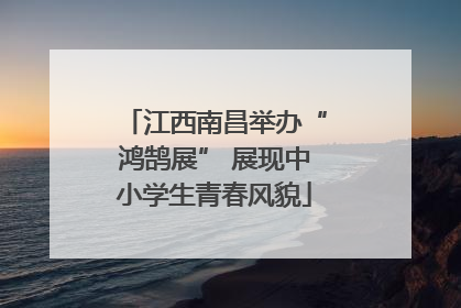 江西南昌举办“鸿鹄展” 展现中小学生青春风貌