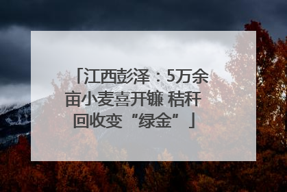 江西彭泽：5万余亩小麦喜开镰 秸秆回收变“绿金”