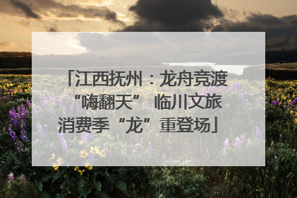 江西抚州：龙舟竞渡“嗨翻天” 临川文旅消费季“龙”重登场
