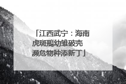 江西武宁：海南虎斑鳽幼雏破壳 濒危物种添新丁
