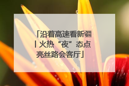 沿着高速看新疆丨火热“夜”态点亮丝路会客厅