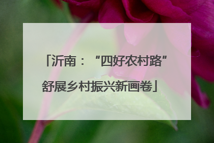 沂南：“四好农村路”舒展乡村振兴新画卷
