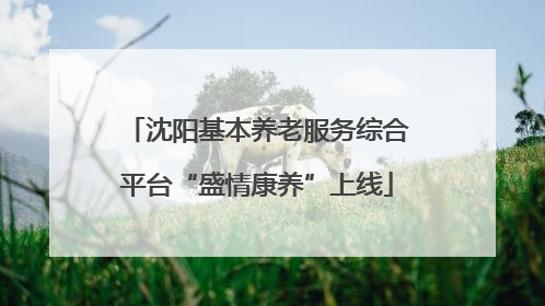 沈阳基本养老服务综合平台“盛情康养”上线