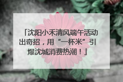 沈阳小禾清风端午活动出奇招，用“一杯米”引爆沈城消费热潮！