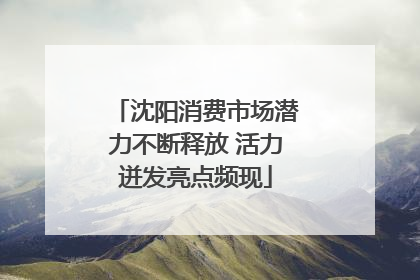 沈阳消费市场潜力不断释放 活力迸发亮点频现