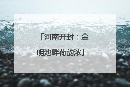 河南开封：金明池畔荷韵浓