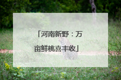 河南新野：万亩鲜桃喜丰收